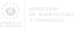 ministerio de agricultura subsidios