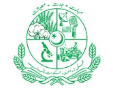 ministry of agriculture pakistan
