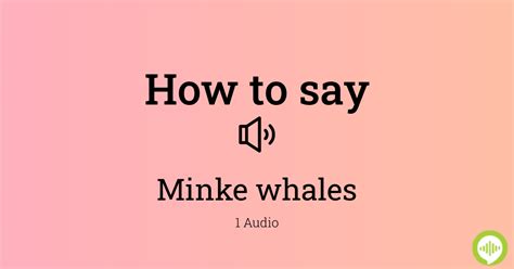 minke whale pronunciation