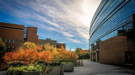 minnesota carlson school of management