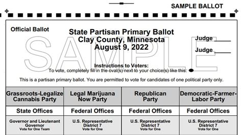 minnesota primary ballot 2024