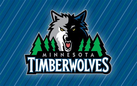 minnesota timberwolves men's basketball