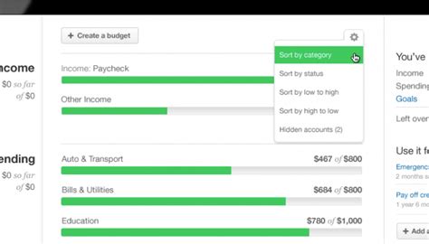 Mint Everything Else Budget