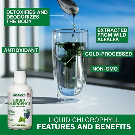 Mint Flavored Liquid Chlorophyll