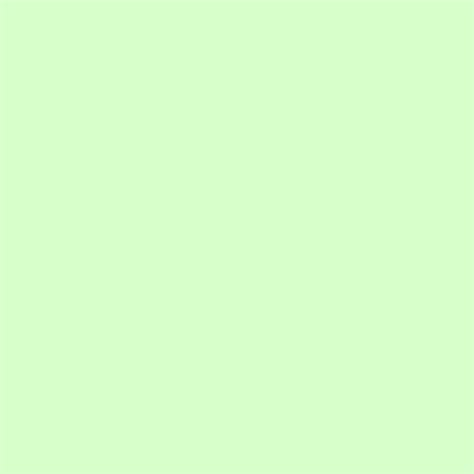 Mint Green Pastel