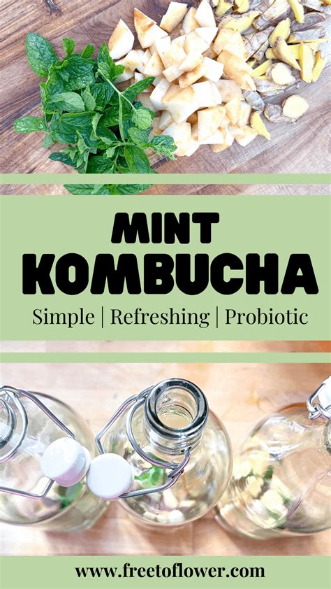 Mint Kombucha Recipe