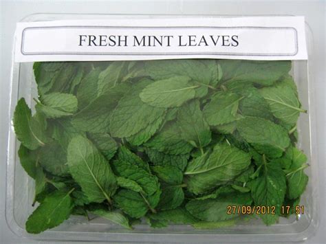 Mint Leaves Price