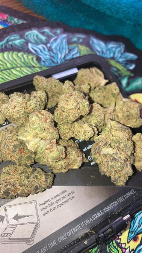 Mint Orbit Strain Green Harbor