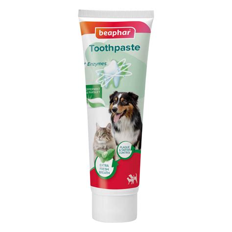 Mint Toothpaste For Cats