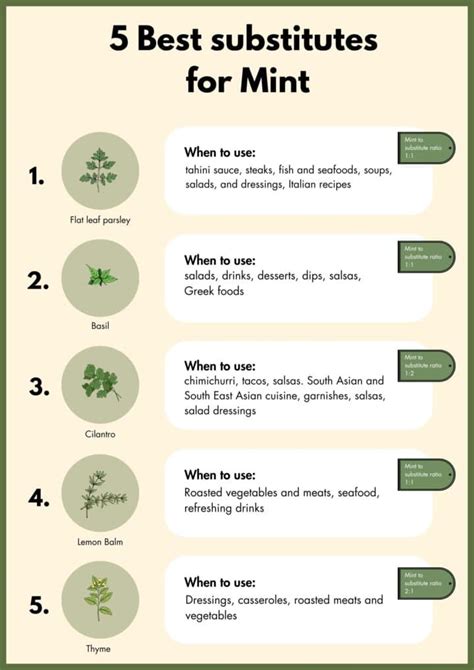 Mint.com Substitutes