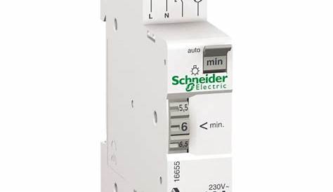Schneider Electric 16655 Minuterie 1 a 7mm molette
