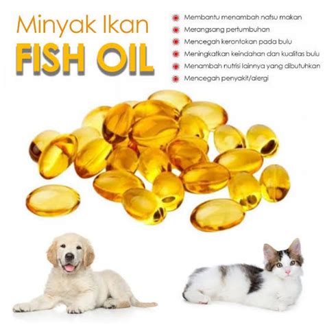 Jual Minyak ikan untuk kucing isi 90 butir Promax Kota Tangerang
