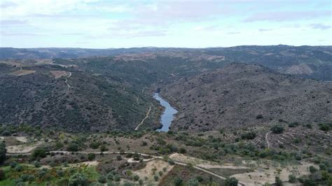 News Mirador De La Falla 2023