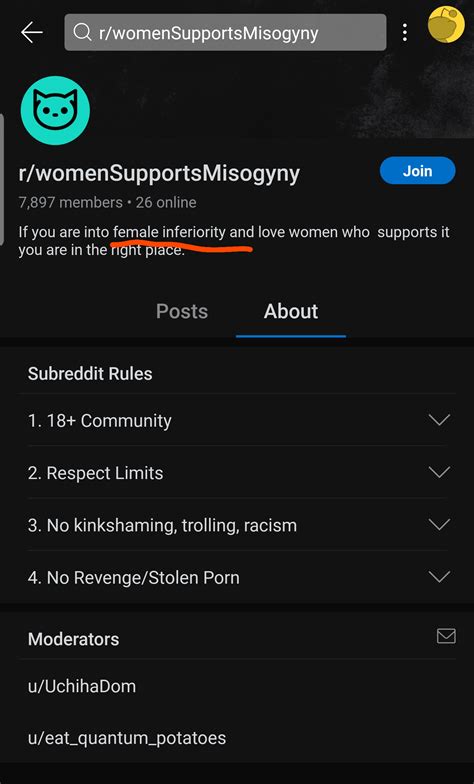 misogyny porn