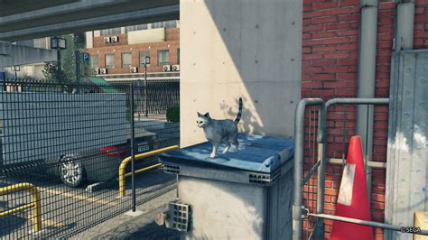 Missing Cat Yakuza 7