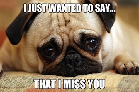 missing you meme funny