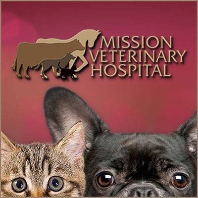 mission veterinary hospital mission tx