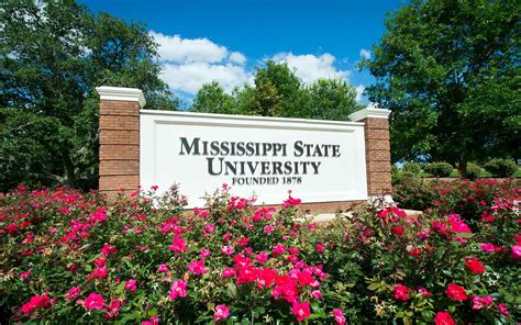 mississippi state university phd programs