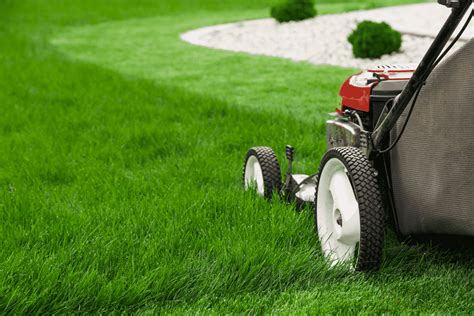 Pin on lawn edging