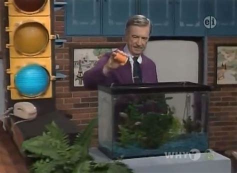 Mister Rogers Fish