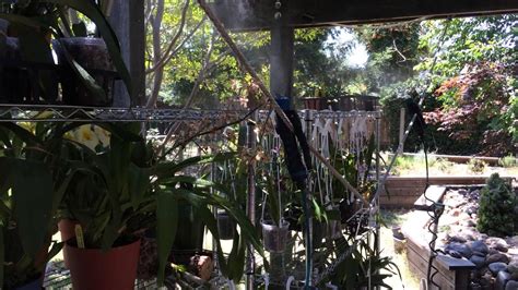 Misting System For Orchids