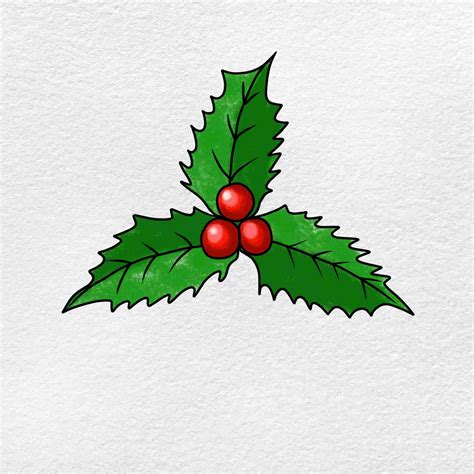 Mistletoe Drawing
