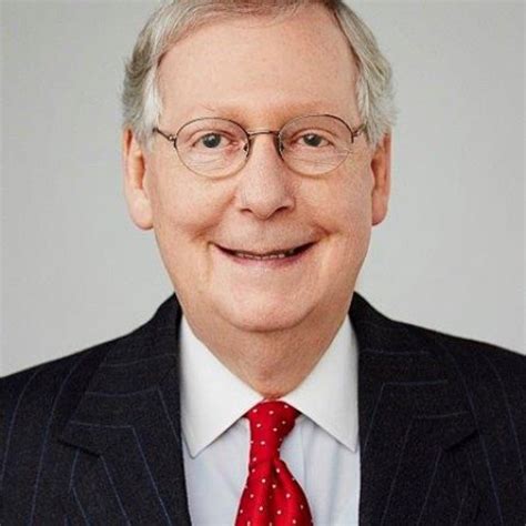 mitch mcconnell on the issues
