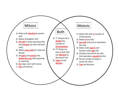 mitosis vs meiosis worksheet venn diagram answers