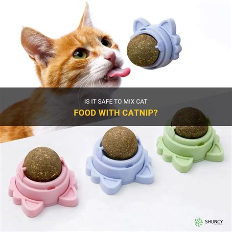 Mix Catnip In Cat Food