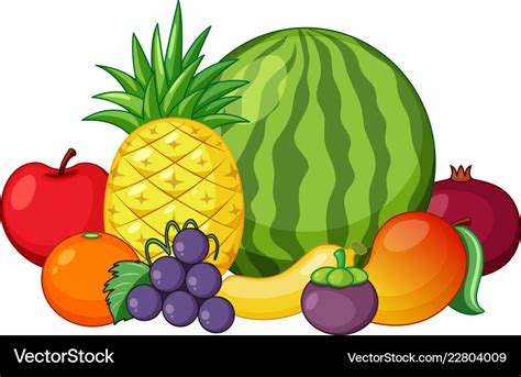 Mixed Fruit Vector