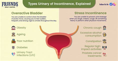 Mixed Incontinence Vs Overactive Bladder