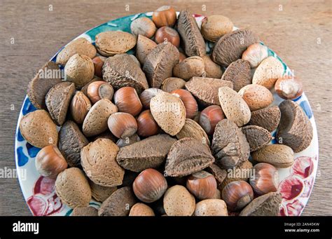 Mixed Nuts In Shell Identification