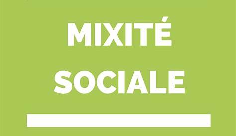 Mixite Sociale Definition Table Ronde Mixité Et Inclusion Des Femmes Dans Le