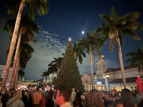 mizner park tree lighting