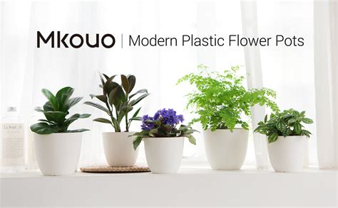 mkouo planter