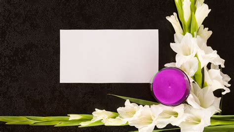 mlive ann arbor obits