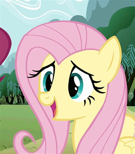Mlp Gif Porn