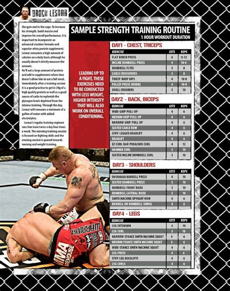 mma fighter workout routine and diet