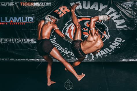 mma training camp packages