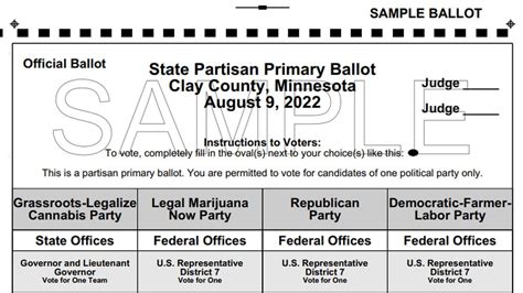 mn sos what's on my ballot