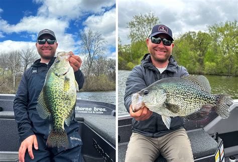 mn state record crappie