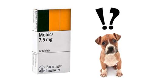 Meloxicam for Dogs Norbrook Safe.PharmacyArthritis, Pain