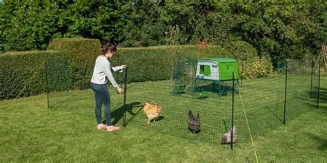 mobile chicken fence