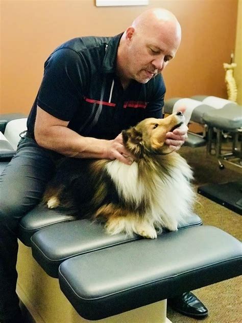 mobile dog chiropractor near me