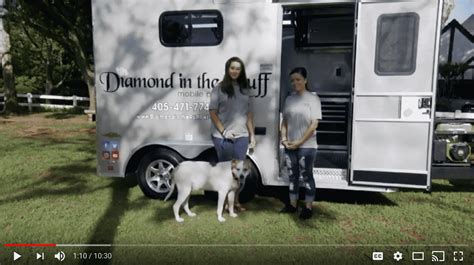 mobile dog groomers edmond oklahoma