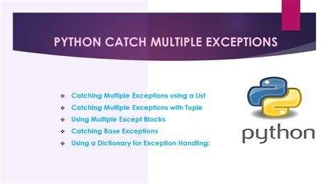 Mock Catch Exception Python