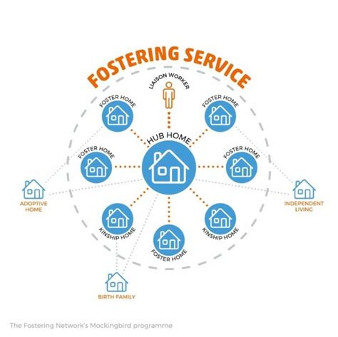 mockingbird model foster care