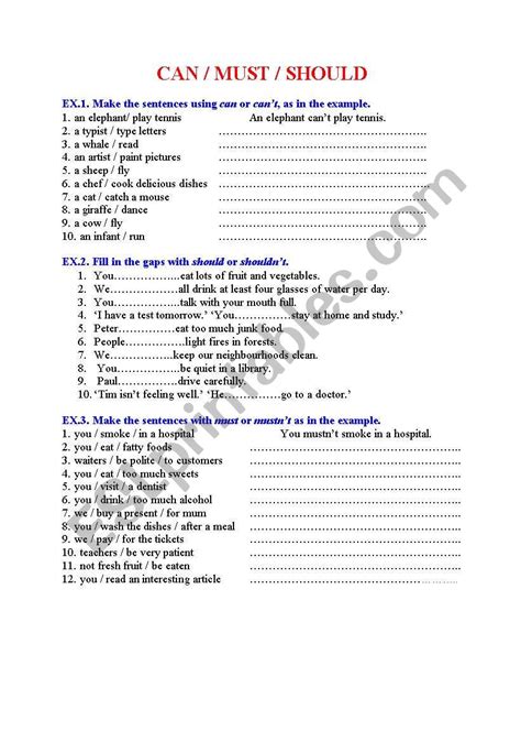modal verbs can could must have to should exercises pdf