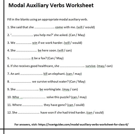modal verbs exercises for class 6 with answers