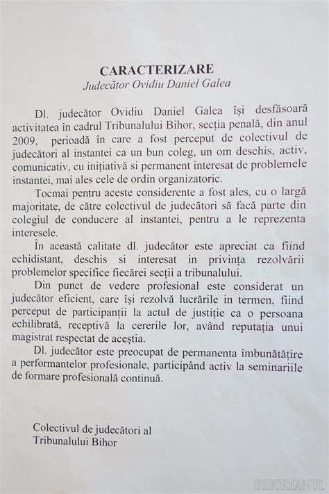 model de caracterizare pentru tribunal